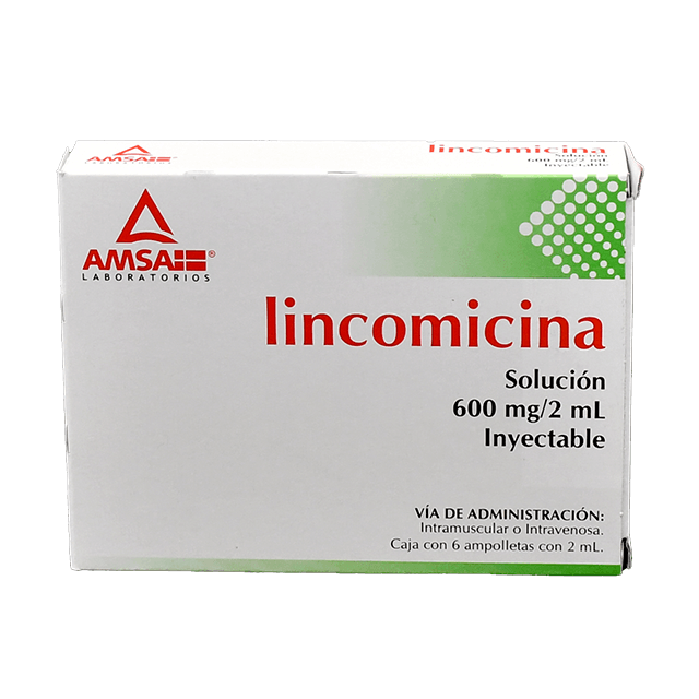 LINCOMICINA (AMSA) SOL INY C/6 AMP 600 MG