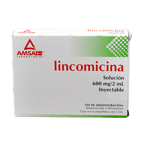 LINCOMICINA (AMSA) SOL INY C/6 AMP 600 MG