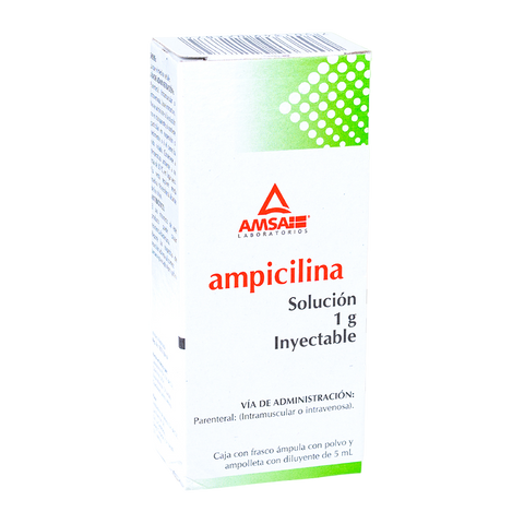 AMPICILINA AMSA SOL. INY. C/1 AMP. 5 ML. 1 G.