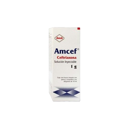 CEFTRIAXONA AMCEF I.V. SOL. INY. C/1 FRASCO. AMP. 1 G.